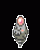 /album/psychic-pokemon/psychic-pokemon-035-gif/